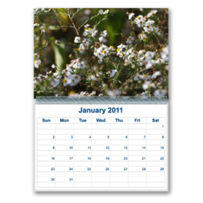 Custom Calendar - Custom Image Upload 13 Month - 11.75" x 8.75" Custom Calendar - Custom Image Upload 13 Month - 11.75" x 8.75"